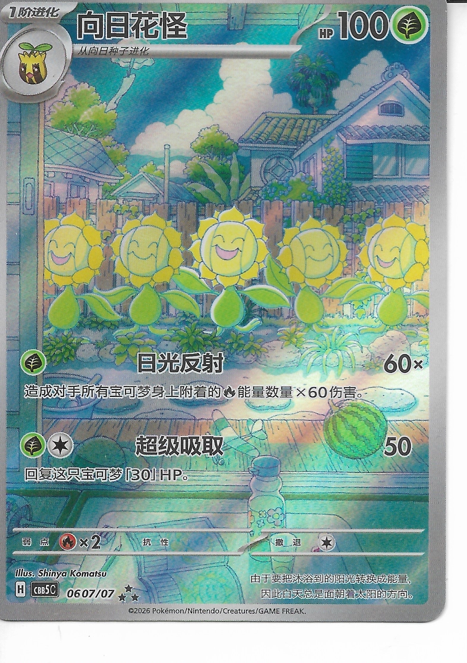 SUNFLORA AR CH